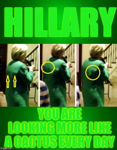 HILLARY; YOU ARE LOOKING MORE LIKE A CACTUS EVERY DAY | image tagged in hillary clinton,hillary,the great awakening,qanon | made w/ Imgflip meme maker