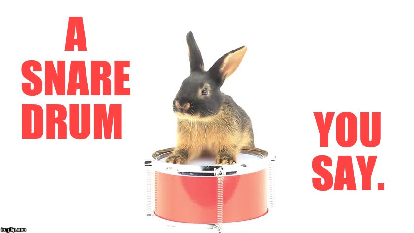 A SNARE DRUM YOU SAY. | made w/ Imgflip meme maker
