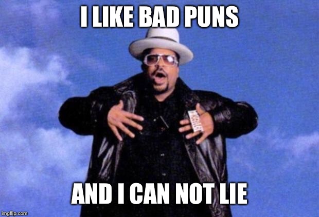 sir mix a lot | I LIKE BAD PUNS AND I CAN NOT LIE | image tagged in sir mix a lot | made w/ Imgflip meme maker