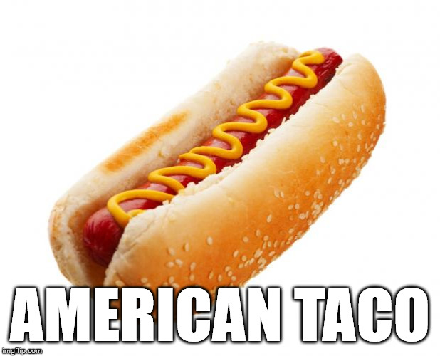 Trust me, I'm an expert | AMERICAN TACO | image tagged in hot dog,americana,alternate names for everyday things,funny,memes,taco | made w/ Imgflip meme maker