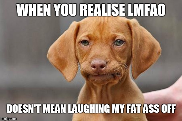Dissapointed puppy | WHEN YOU REALISE LMFAO; DOESN'T MEAN LAUGHING MY FAT ASS OFF | image tagged in dissapointed puppy,fat ass,lost in translation | made w/ Imgflip meme maker