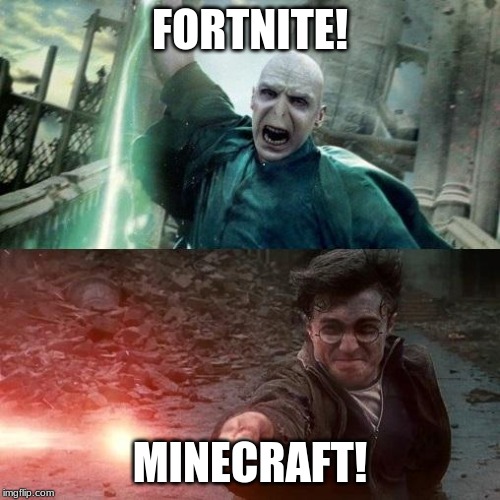 Harry Potter meme | FORTNITE! MINECRAFT! | image tagged in harry potter meme | made w/ Imgflip meme maker