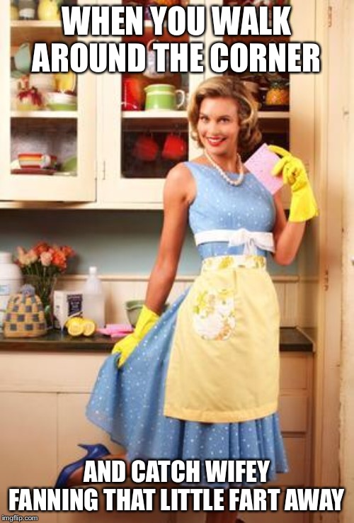 Happy House Wife | WHEN YOU WALK AROUND THE CORNER; AND CATCH WIFEY FANNING THAT LITTLE FART AWAY | image tagged in happy house wife | made w/ Imgflip meme maker