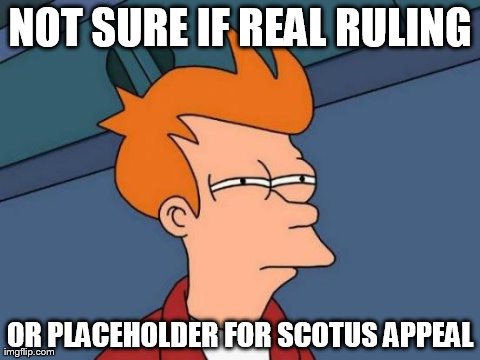 Futurama Fry Meme | NOT SURE IF REAL RULING OR PLACEHOLDER FOR SCOTUS APPEAL | image tagged in memes,futurama fry | made w/ Imgflip meme maker