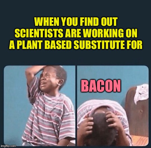 I...I...am too upset to make a title. | WHEN YOU FIND OUT SCIENTISTS ARE WORKING ON A PLANT BASED SUBSTITUTE FOR; BACON | image tagged in black kid crying with knife,bacon,vegan,memes,funny | made w/ Imgflip meme maker