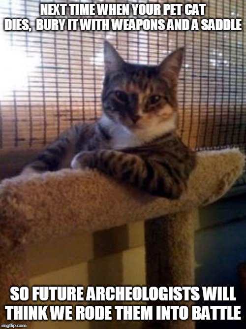 The Most Interesting Cat In The World | NEXT TIME WHEN YOUR PET CAT DIES,  BURY IT WITH WEAPONS AND A SADDLE; SO FUTURE ARCHEOLOGISTS WILL THINK WE RODE THEM INTO BATTLE | image tagged in memes,the most interesting cat in the world | made w/ Imgflip meme maker