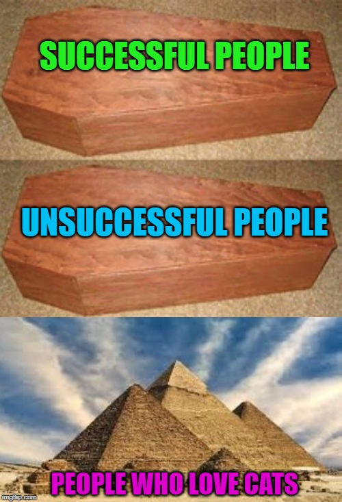 Who needs all that space? | SUCCESSFUL PEOPLE; UNSUCCESSFUL PEOPLE; PEOPLE WHO LOVE CATS | image tagged in golden coffin meme,memes,egyptians,funny,cats,bastet | made w/ Imgflip meme maker