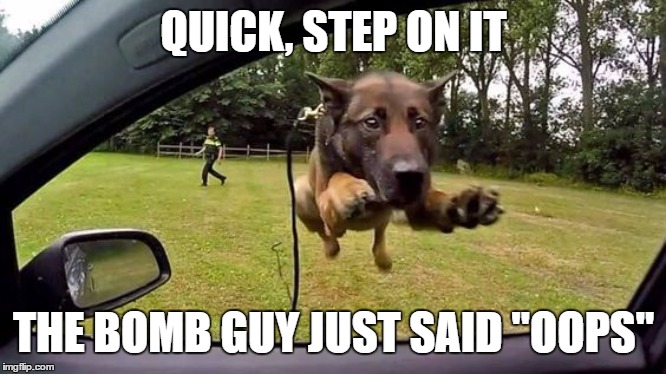 Annnd..... I'm outta here | QUICK, STEP ON IT; THE BOMB GUY JUST SAID "OOPS" | image tagged in dog,bomb squad,random | made w/ Imgflip meme maker