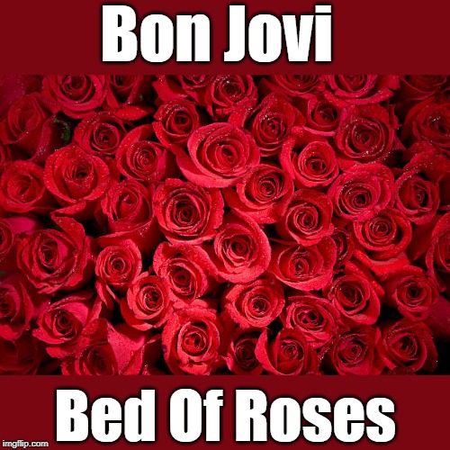 .•♫•♬• σиє σf му fανσяιтє ѕσиgѕ •♬•♫•. | Bon Jovi; Bed Of Roses | image tagged in memes,music,bon jovi,bed of roses | made w/ Imgflip meme maker