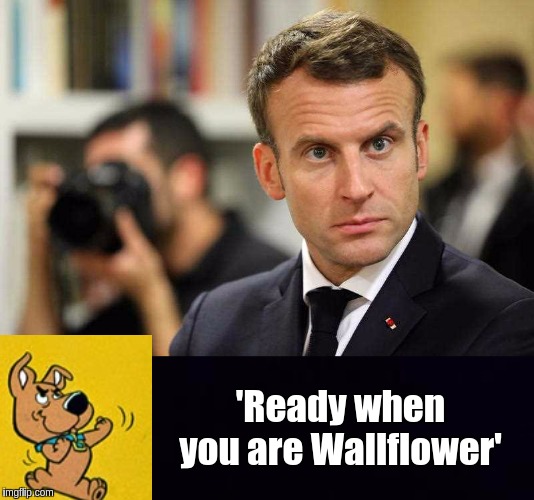 #AEuroPratt | 'Ready when you are Wallflower' | image tagged in emmanuel macron,eu,junior eurovision,european union,the great awakening | made w/ Imgflip meme maker