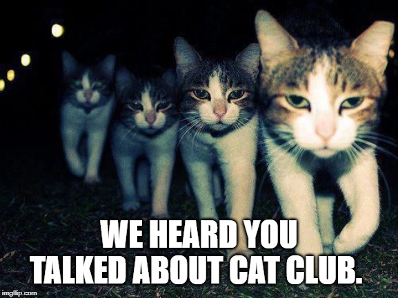 wrong neighborhood cats | WE HEARD YOU TALKED ABOUT CAT CLUB. | image tagged in wrong neighborhood cats | made w/ Imgflip meme maker
