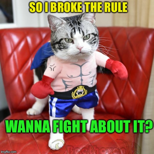 SO I BROKE THE RULE WANNA FIGHT ABOUT IT? | made w/ Imgflip meme maker