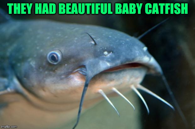 Catfish Catfish  | THEY HAD BEAUTIFUL BABY CATFISH | image tagged in catfish catfish | made w/ Imgflip meme maker