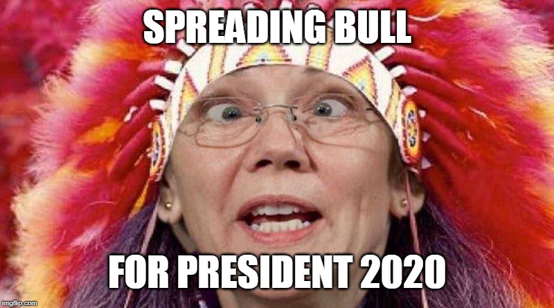 warren2020  aka Spreading Bull | SPREADING BULL; FOR PRESIDENT 2020 | image tagged in pocahantas,chief,maga,donald trump approves | made w/ Imgflip meme maker