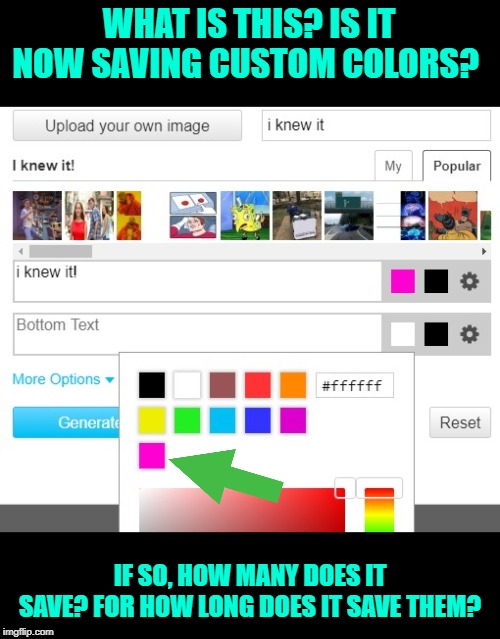 New feature in the settings. | WHAT IS THIS? IS IT NOW SAVING CUSTOM COLORS? IF SO, HOW MANY DOES IT SAVE? FOR HOW LONG DOES IT SAVE THEM? | image tagged in nixieknox,memes,features | made w/ Imgflip meme maker