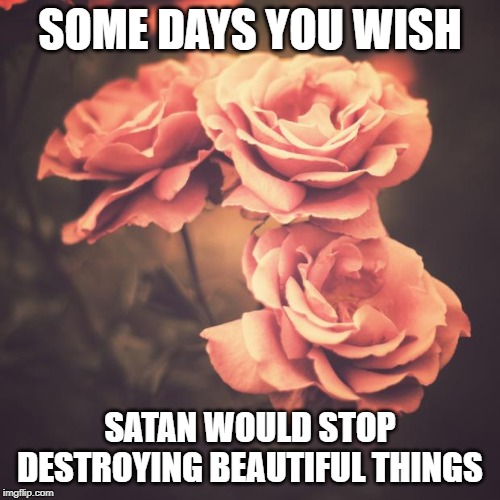 Beautiful Vintage Flowers | SOME DAYS YOU WISH; SATAN WOULD STOP DESTROYING BEAUTIFUL THINGS | image tagged in beautiful vintage flowers | made w/ Imgflip meme maker