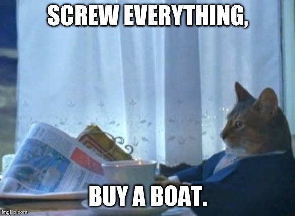 buy a boat | SCREW EVERYTHING, BUY A BOAT. | image tagged in memes,i should buy a boat cat,buy a boat,screw everything | made w/ Imgflip meme maker