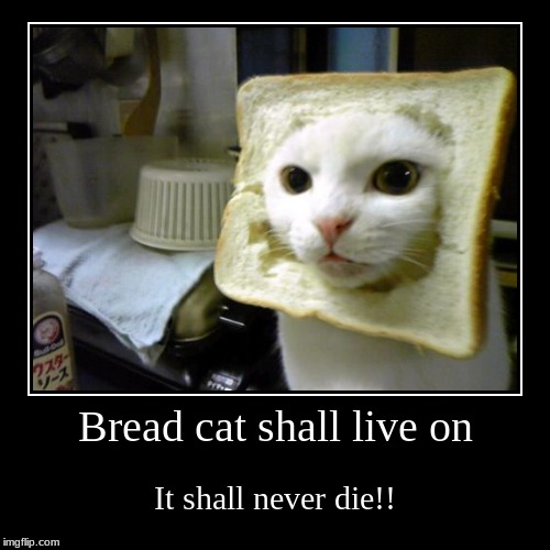Bread Cat never ends... | image tagged in funny,demotivationals | made w/ Imgflip demotivational maker
