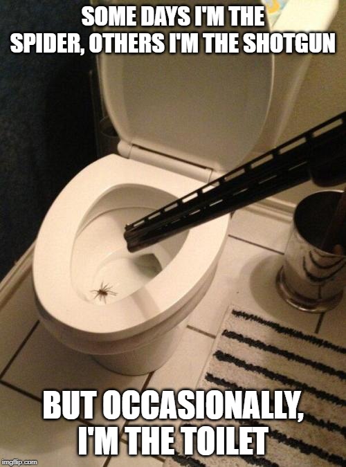 SOME DAYS I'M THE SPIDER, OTHERS I'M THE SHOTGUN; BUT OCCASIONALLY, I'M THE TOILET | image tagged in spider,shotgun,shot,toilet,blow up,end badly | made w/ Imgflip meme maker