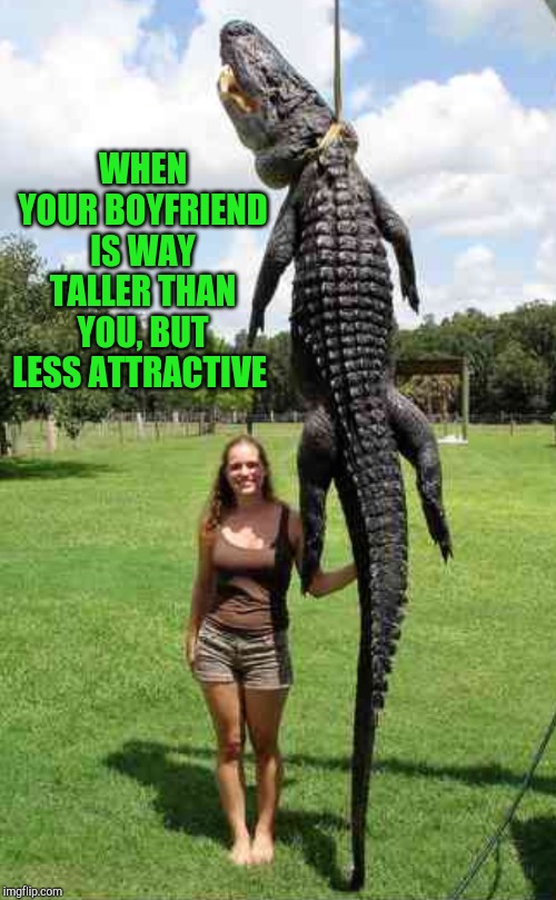 Dating tall guys be like | WHEN YOUR BOYFRIEND IS WAY TALLER THAN YOU, BUT LESS ATTRACTIVE | image tagged in alligators,jbmemegeek,cute girl | made w/ Imgflip meme maker
