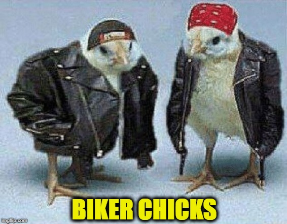 Hens Angels | BIKER CHICKS | image tagged in biker,chicks,hens,angels | made w/ Imgflip meme maker
