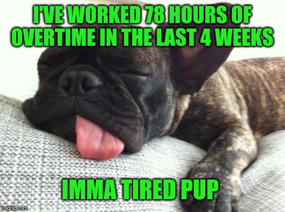 I was hoping to go fishing today, but I'm too dang tired. And there's no relief in sight until after Christmas :/ | I'VE WORKED 78 HOURS OF OVERTIME IN THE LAST 4 WEEKS; IMMA TIRED PUP | image tagged in tired dog,jbmemegeek,memes | made w/ Imgflip meme maker