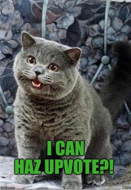 I can haz? | I CAN HAZ UPVOTE?! | image tagged in i can has cheezburger cat,begging for upvotes,jbmemegeek | made w/ Imgflip meme maker