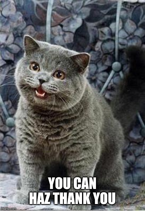 I can has cheezburger cat | YOU CAN HAZ THANK YOU | image tagged in i can has cheezburger cat | made w/ Imgflip meme maker