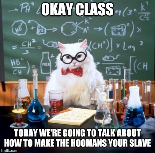 Chemistry Cat | OKAY CLASS; TODAY WE'RE GOING TO TALK ABOUT HOW TO MAKE THE HOOMANS YOUR SLAVE | image tagged in memes,chemistry cat | made w/ Imgflip meme maker