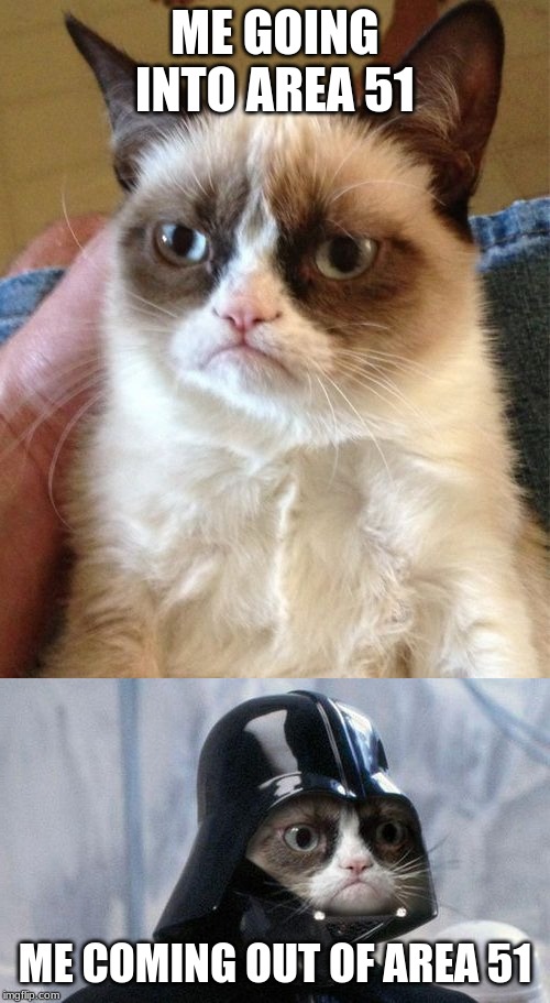I am the grumpy. | ME GOING INTO AREA 51; ME COMING OUT OF AREA 51 | image tagged in memes,grumpy cat,grumpy cat star wars,area 51 | made w/ Imgflip meme maker