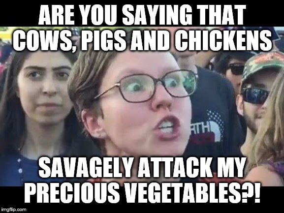 Angry sjw | ARE YOU SAYING THAT COWS, PIGS AND CHICKENS; SAVAGELY ATTACK MY PRECIOUS VEGETABLES?! | image tagged in angry sjw | made w/ Imgflip meme maker