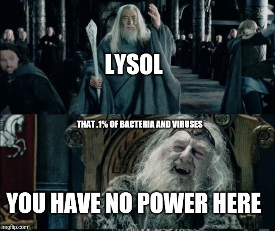 Lysol the gray | LYSOL; THAT .1% OF BACTERIA AND VIRUSES; YOU HAVE NO POWER HERE | image tagged in you have no power here,gandalf,lord of the rings,virus | made w/ Imgflip meme maker