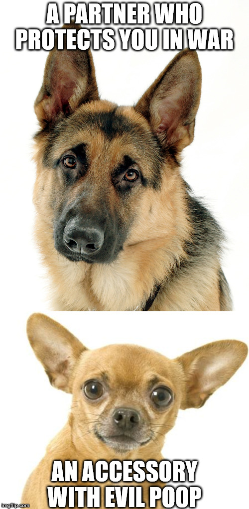 i like a dog that can protect the house and look cute at the same time. | A PARTNER WHO PROTECTS YOU IN WAR; AN ACCESSORY WITH EVIL POOP | image tagged in german shepherd,chihuahua,large dog,toy dog | made w/ Imgflip meme maker
