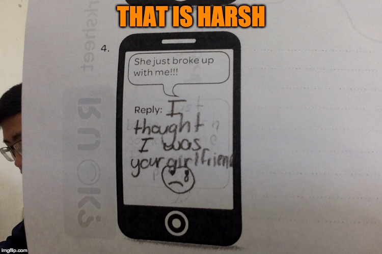When the teacher asks you to respond to a text as politely as possible | THAT IS HARSH | image tagged in funny memes | made w/ Imgflip meme maker