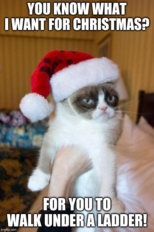 Grumpy Cat Christmas | YOU KNOW WHAT I WANT FOR CHRISTMAS? FOR YOU TO WALK UNDER A LADDER! | image tagged in memes,grumpy cat christmas,grumpy cat | made w/ Imgflip meme maker