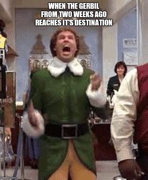 Buddy the elf birthday  | WHEN THE GERBIL FROM TWO WEEKS AGO REACHES IT'S DESTINATION | image tagged in buddy the elf birthday | made w/ Imgflip meme maker