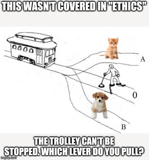 THIS WASN'T COVERED IN "ETHICS"; THE TROLLEY CAN'T BE STOPPED. WHICH LEVER DO YOU PULL? | image tagged in funny,funny memes,puppy,kitten | made w/ Imgflip meme maker