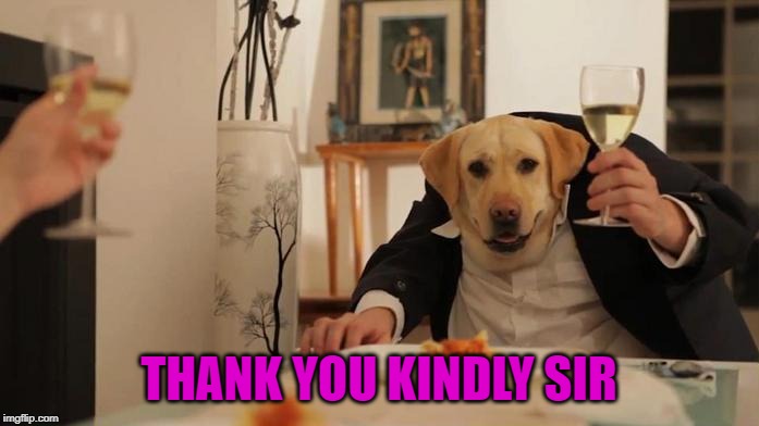 THANK YOU KINDLY SIR | made w/ Imgflip meme maker
