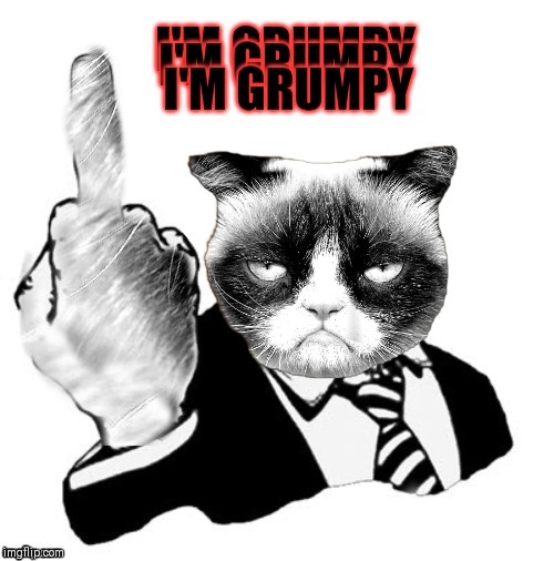 Needless to say | image tagged in grumpy cat,1950s middle finger,44colt | made w/ Imgflip meme maker