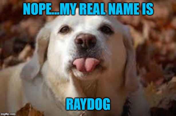 NOPE...MY REAL NAME IS RAYDOG | made w/ Imgflip meme maker