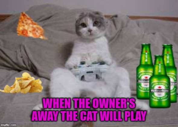 Better not beat my high score... | WHEN THE OWNER'S AWAY THE CAT WILL PLAY | image tagged in cat xbox,memes,cats will play,funny,cats,xbox | made w/ Imgflip meme maker