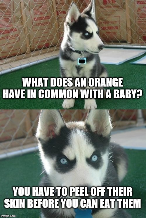 Insanity Puppy Meme | WHAT DOES AN ORANGE HAVE IN COMMON WITH A BABY? YOU HAVE TO PEEL OFF THEIR SKIN BEFORE YOU CAN EAT THEM | image tagged in memes,insanity puppy | made w/ Imgflip meme maker