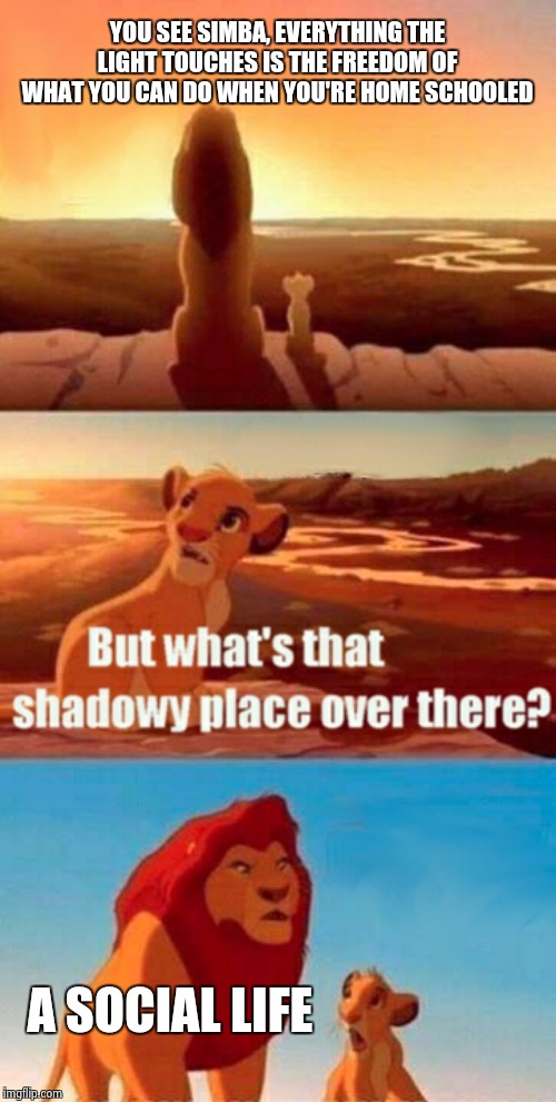Simba Shadowy Place | YOU SEE SIMBA, EVERYTHING THE LIGHT TOUCHES IS THE FREEDOM OF WHAT YOU CAN DO WHEN YOU'RE HOME SCHOOLED; A SOCIAL LIFE | image tagged in memes,simba shadowy place | made w/ Imgflip meme maker