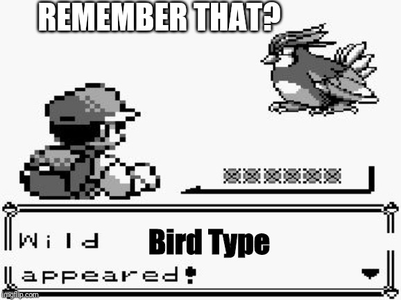 pokemon appears | REMEMBER THAT? Bird Type | image tagged in pokemon appears | made w/ Imgflip meme maker