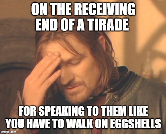 Frustrated Boromir | ON THE RECEIVING END OF A TIRADE; FOR SPEAKING TO THEM LIKE YOU HAVE TO WALK ON EGGSHELLS | image tagged in memes,frustrated boromir | made w/ Imgflip meme maker