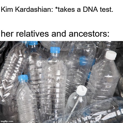 Good Thing they're in the trash! | Kim Kardashian: *takes a DNA test. her relatives and ancestors: | image tagged in plastic,kim kardashian | made w/ Imgflip meme maker