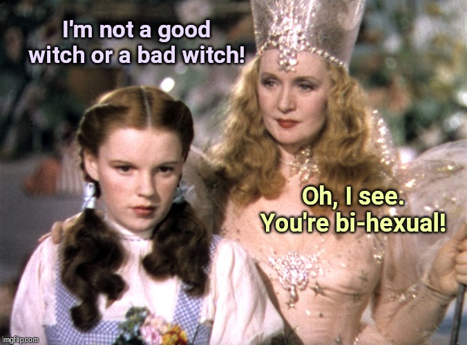 Dorothy comes out | I'm not a good witch or a bad witch! Oh, I see. You're bi-hexual! | image tagged in dorothy and glinda wizard of oz,witches,humor | made w/ Imgflip meme maker