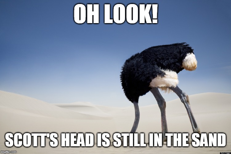 Ostrich head in sand | OH LOOK! SCOTT'S HEAD IS STILL IN THE SAND | image tagged in ostrich head in sand | made w/ Imgflip meme maker