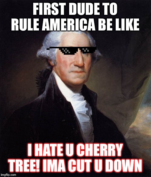 George Washington | FIRST DUDE TO RULE AMERICA BE LIKE; I HATE U CHERRY TREE! IMA CUT U DOWN | image tagged in memes,george washington | made w/ Imgflip meme maker
