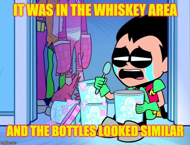 Robin Crying | IT WAS IN THE WHISKEY AREA AND THE BOTTLES LOOKED SIMILAR | image tagged in robin crying | made w/ Imgflip meme maker